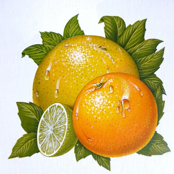 OOAK ORIGINAL ARTWORK CITRUS FRUIT STILL LIFE ILLUSTRATION BY BILL HALL - Picture 2 of 4